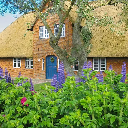 Appartement Friesenhaus Sara S3 *